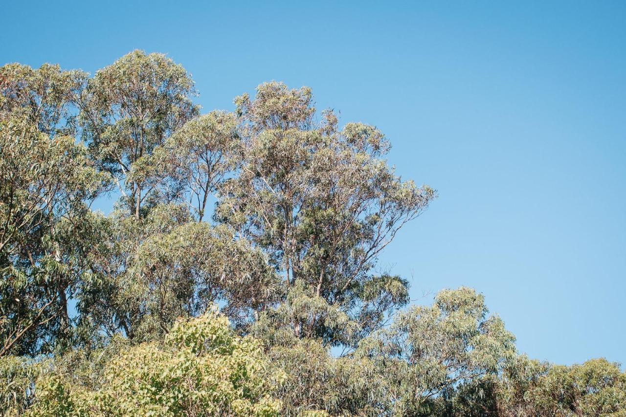 Quality Apartments Banksia Albany Exterior photo