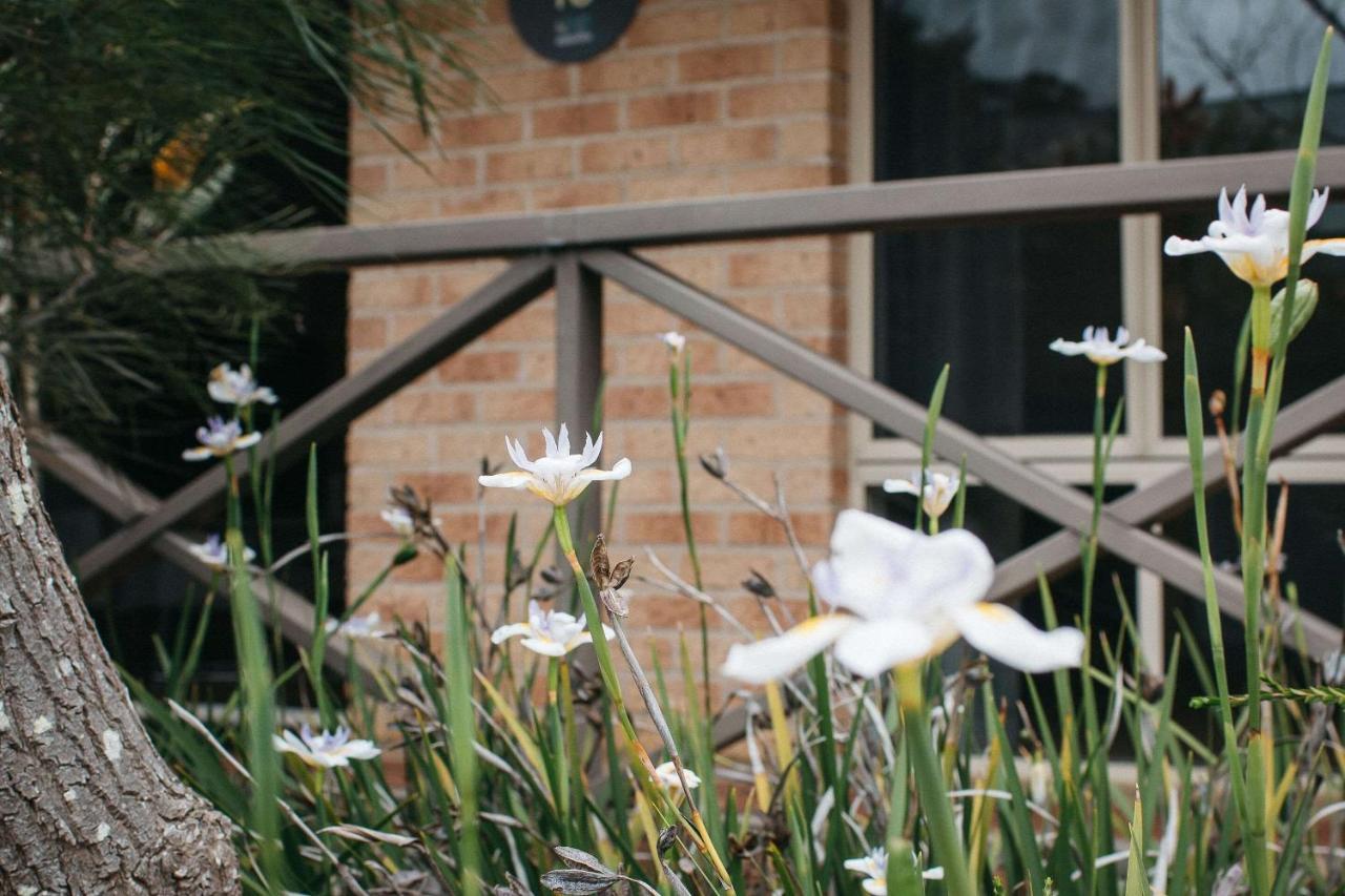 Quality Apartments Banksia Albany Exterior photo